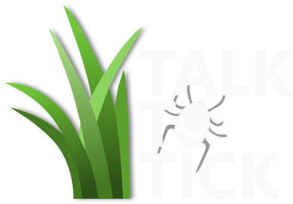 TalkToTick Projekat